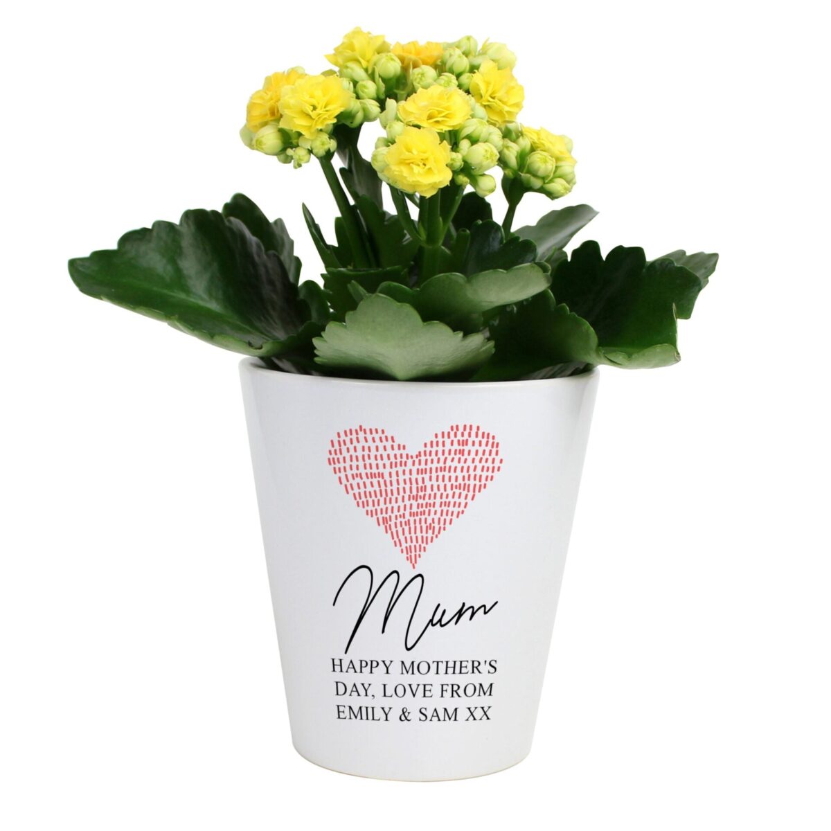 Personalised Heart Plant Pot: 4 - Pots & Planters By Gift Moments