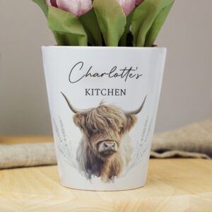Personalised Highland Cow Plant Pot: 1 - Pots & Planters By Gift Moments