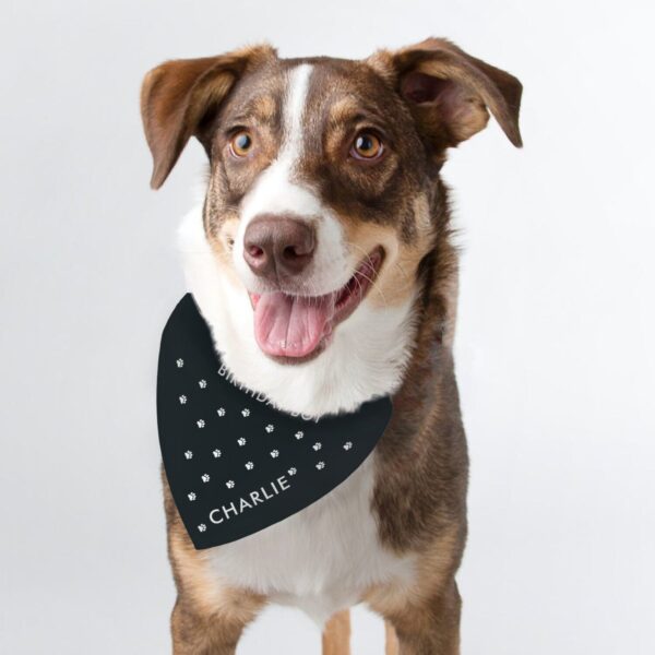 Personalised Paw Print Dog Bandana: 2 - Pet Products By Gift Moments