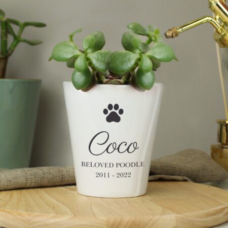 Personalised Paw Print Plant Pot: 2 - Pots & Planters By Gift Moments
