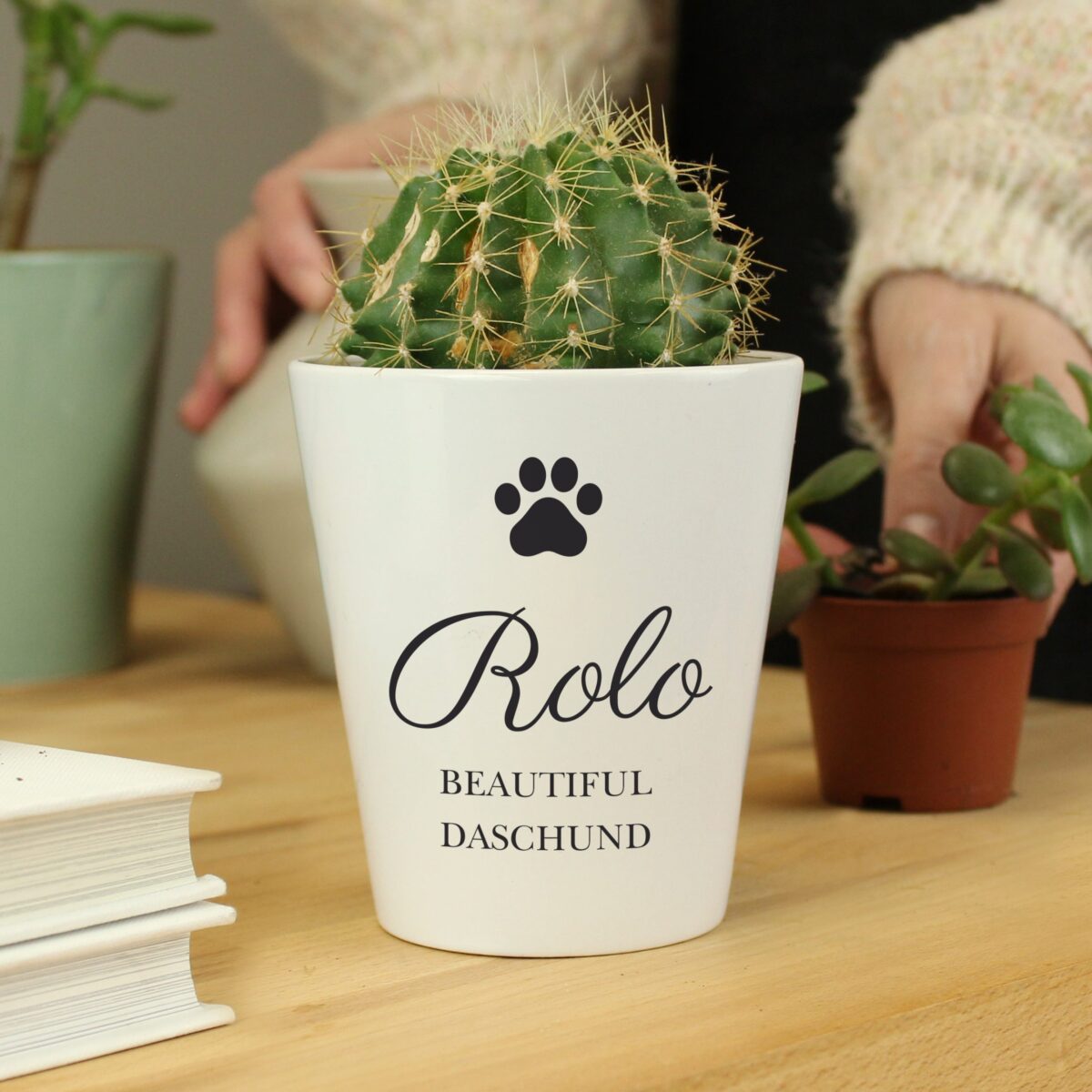 Personalised Paw Print Plant Pot: 1 - Pots & Planters By Gift Moments