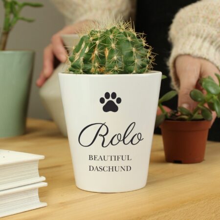 Personalised Paw Print Plant Pot: 1 - Pots & Planters By Gift Moments