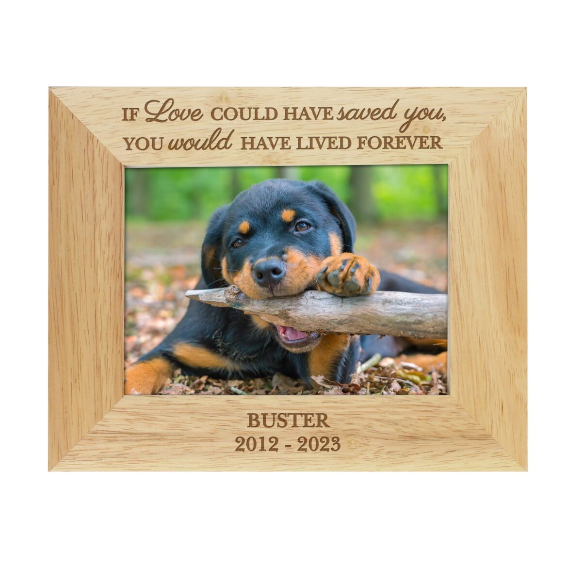 Personalised pet memorial 6x4 photo frame