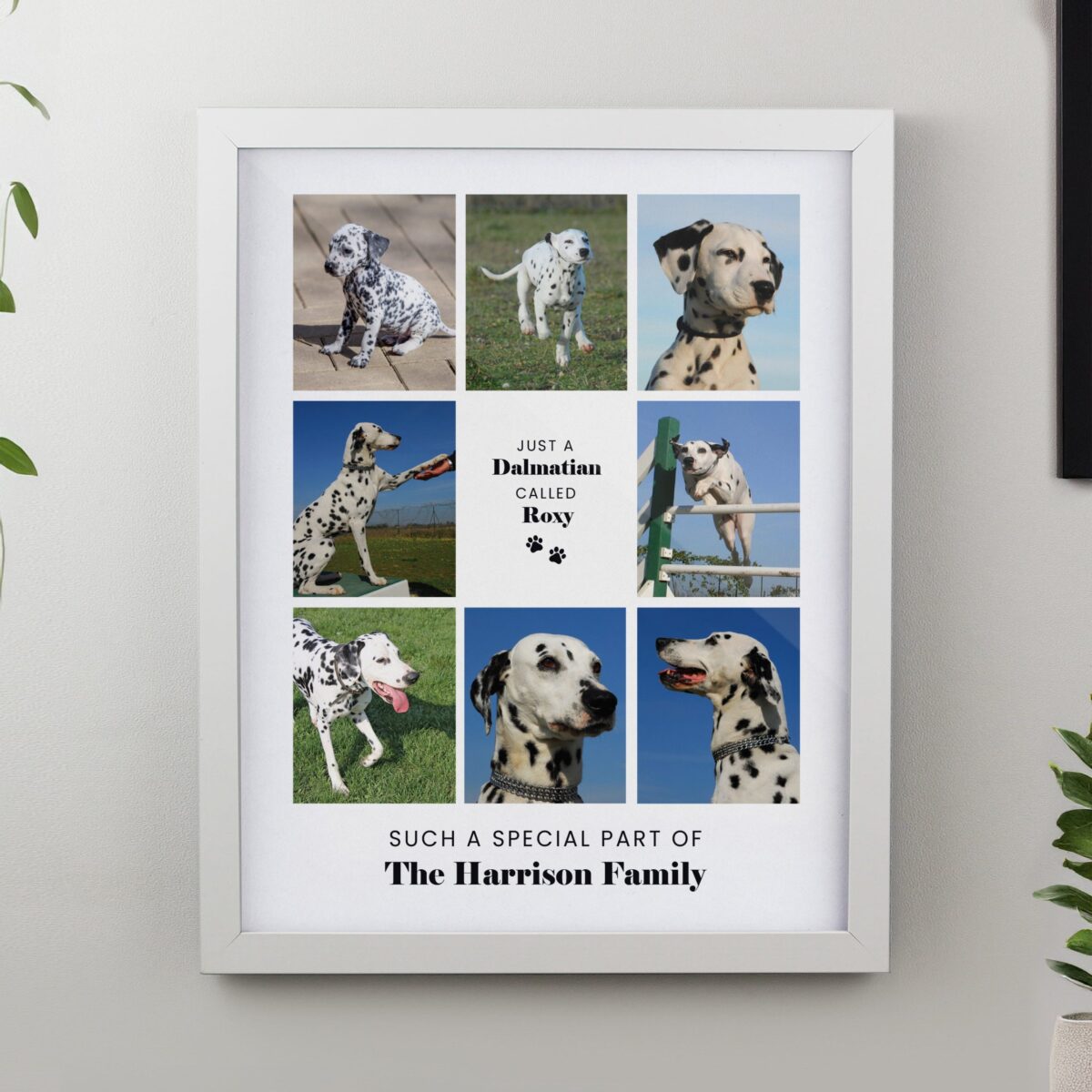 Personalised Pet Multi Photo Framed Prints: 9 - Framed Prints By Gift Moments