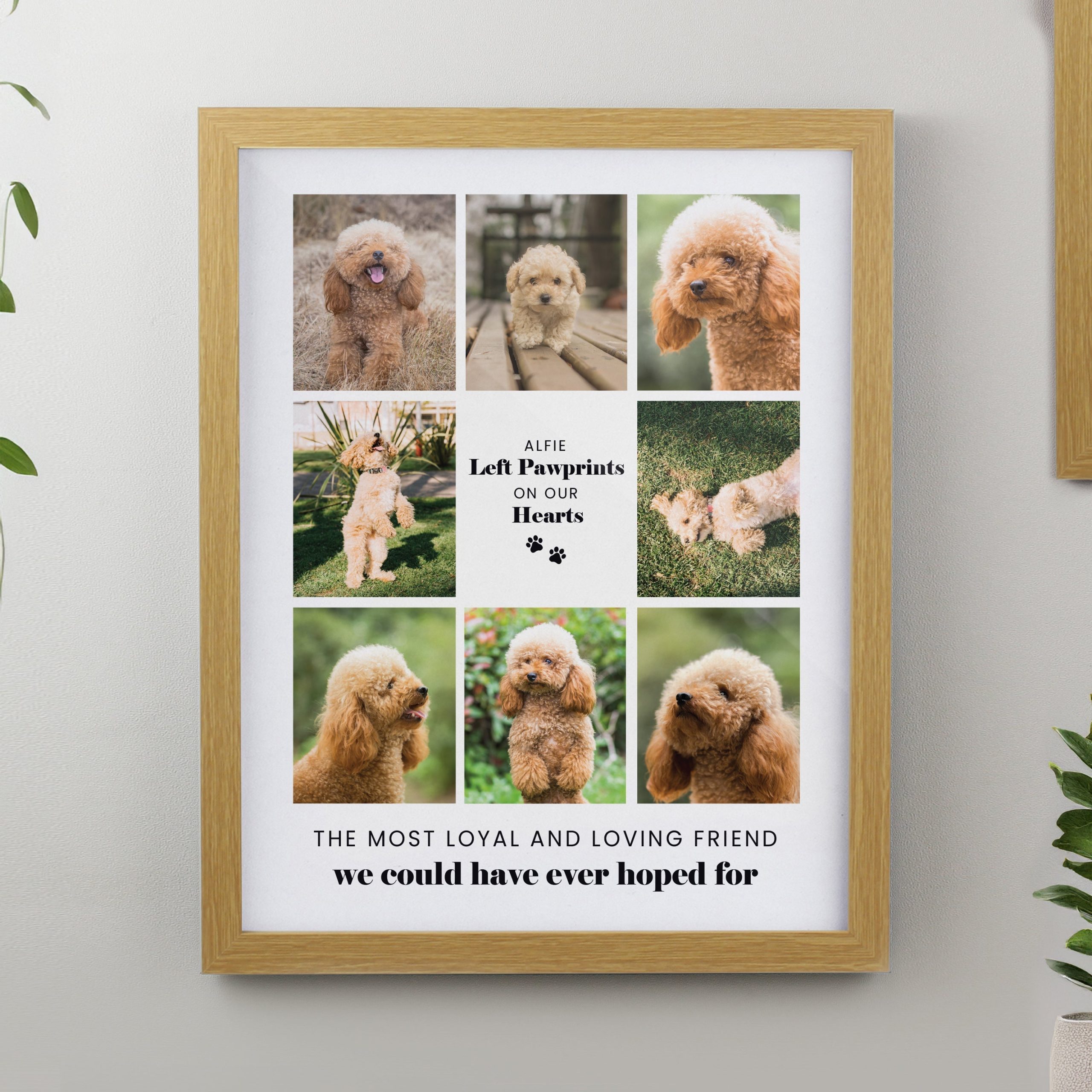 Personalised Pet Multi Photo Framed Prints: 1 - Oak - Framed Prints By Gift Moments