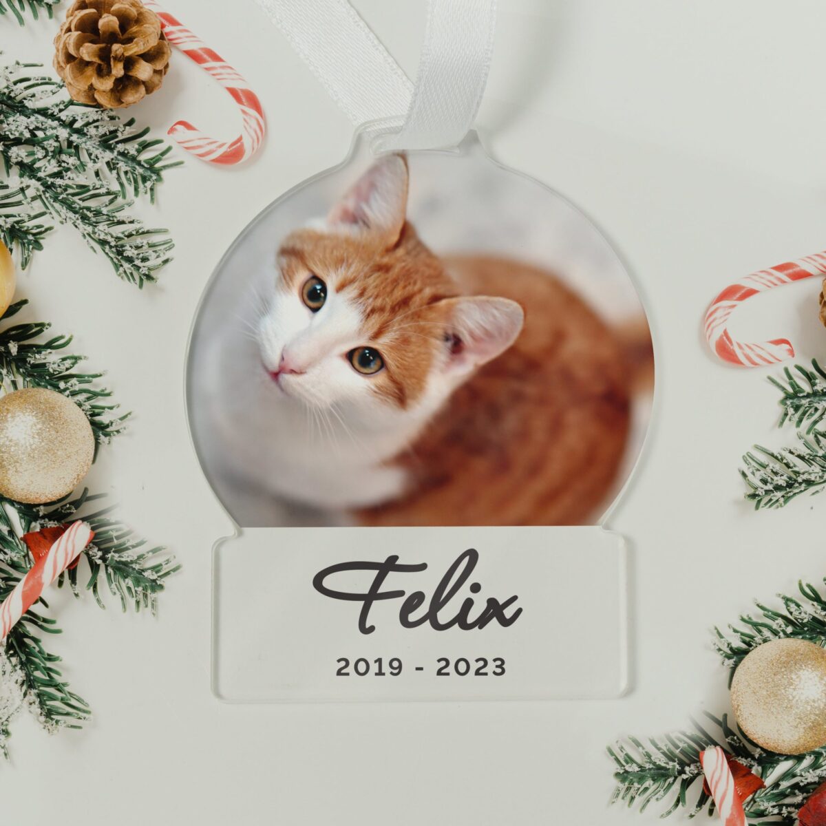 Personalised Photo Upload Acrylic Decoration: 3 - Decorations By Gift Moments