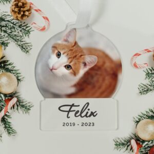 Personalised Photo Upload Acrylic Decoration: 3 - Decorations By Gift Moments