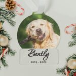 Personalised Photo Upload Acrylic Decoration: 1 - Decorations By Gift Moments