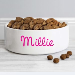 Personalised Pink Name 14cm Medium Pet Bowl: 1 - Pet Products By Gift Moments