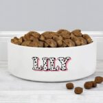 Personalised Pink Spots Name 14cm Medium Pet Bowl: 1 - Pet Products By Gift Moments