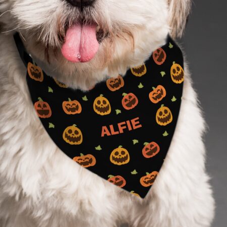 Personalised Pumpkin Patch Dog Bandana: 4 - Pet Products By Gift Moments