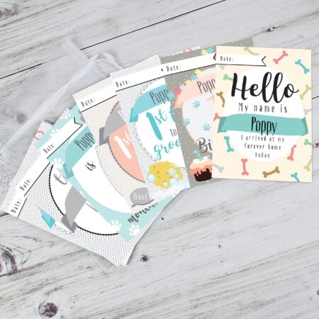 Personalised Puppy Cards: For Milestone Moments: 7 - Keepsakes By Gift Moments