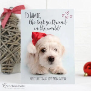 Personalised Rachael Hale Terrier Christmas Card: 1 - Greeting Cards By Rachael Hale