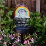 Personalised Rainbow Bridge Pet Memorial Outdoor Solar Light: 1 - Solar Lights By Gift Moments