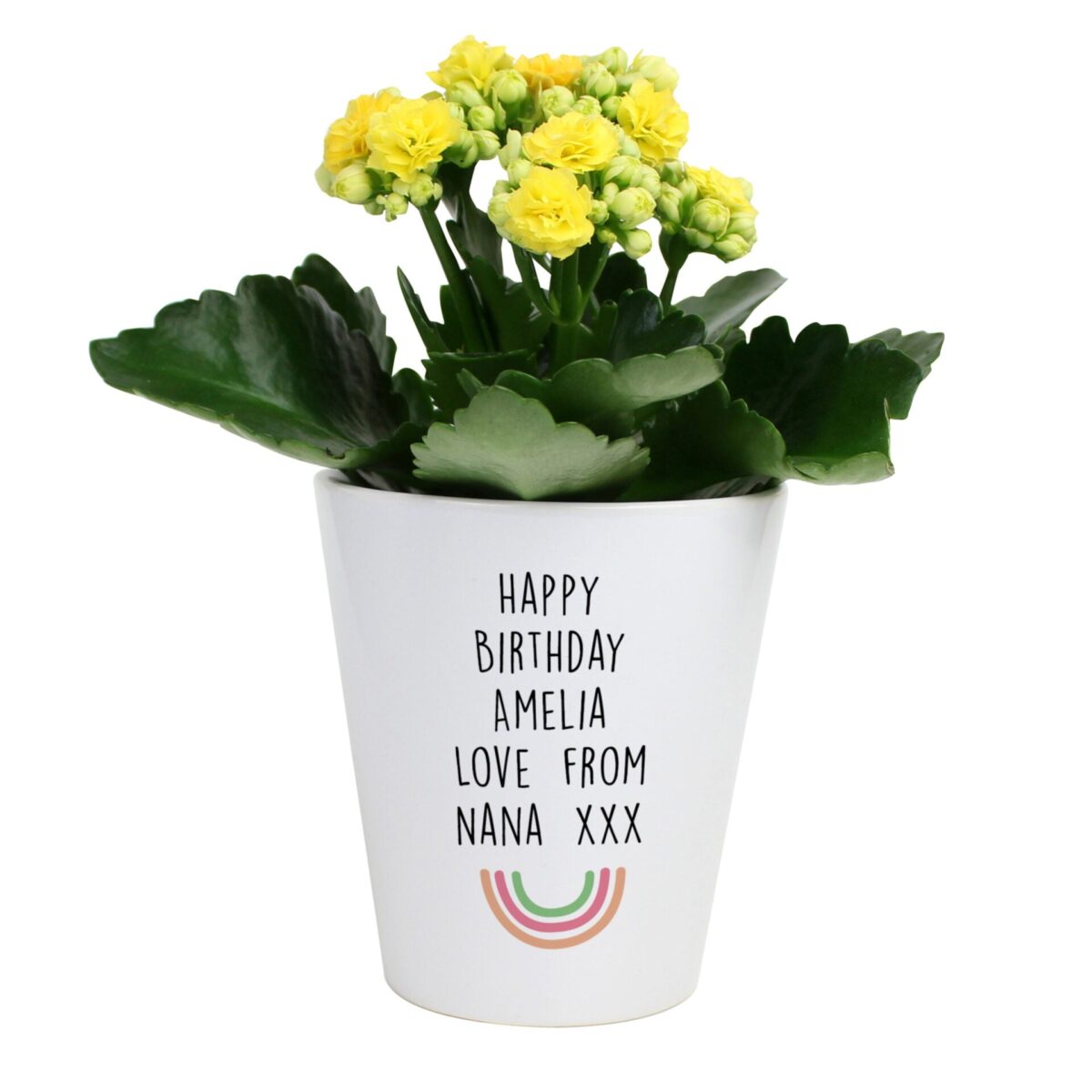 Personalised Rainbow Plant Pot: 4 - Pots & Planters By Gift Moments
