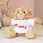 Personalised Red Name Teddy Bear: 1 - Teddy Bears & Soft Toys By Gift Moments