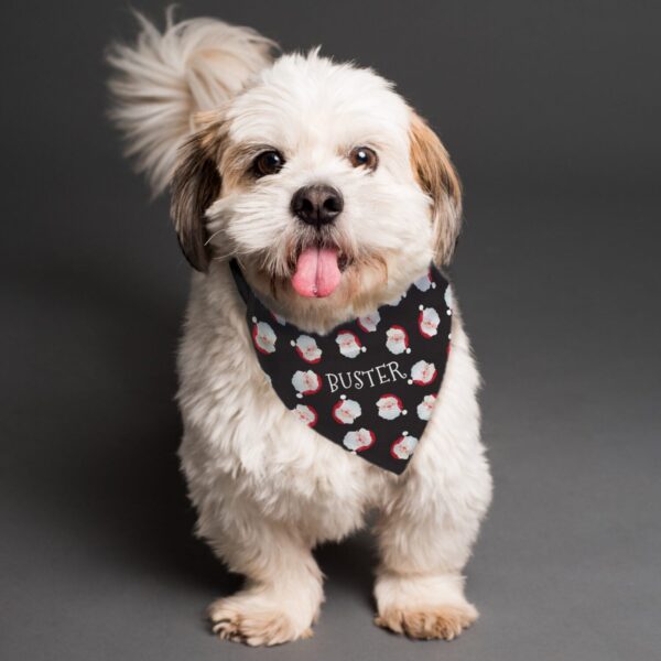 Personalised Santa Black Dog Bandana: 2 - Pet Products By Gift Moments