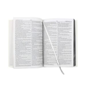 Personalised Silver Companion Holy Bible - Eco-friendly: 3 - Books By Gift Moments