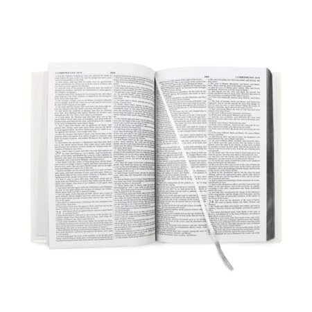 Personalised Silver Companion Holy Bible - Eco-friendly: 3 - Books By Gift Moments