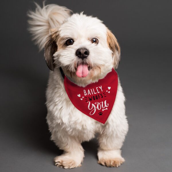Personalised Woofs You Dog Bandana: 1 - Pet Products By Gift Moments