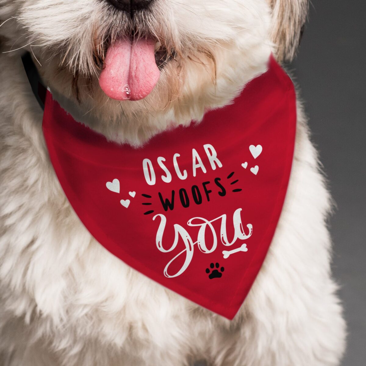Personalised Woofs You Dog Bandana: 2 - Pet Products By Gift Moments