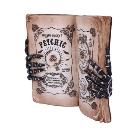 Psychic compendium palmists grimoire figurine