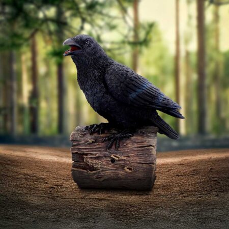 Ravens Cry With Motion Activated Sound: 1 - Figurines Medium (15-29cm) By Gift Moments