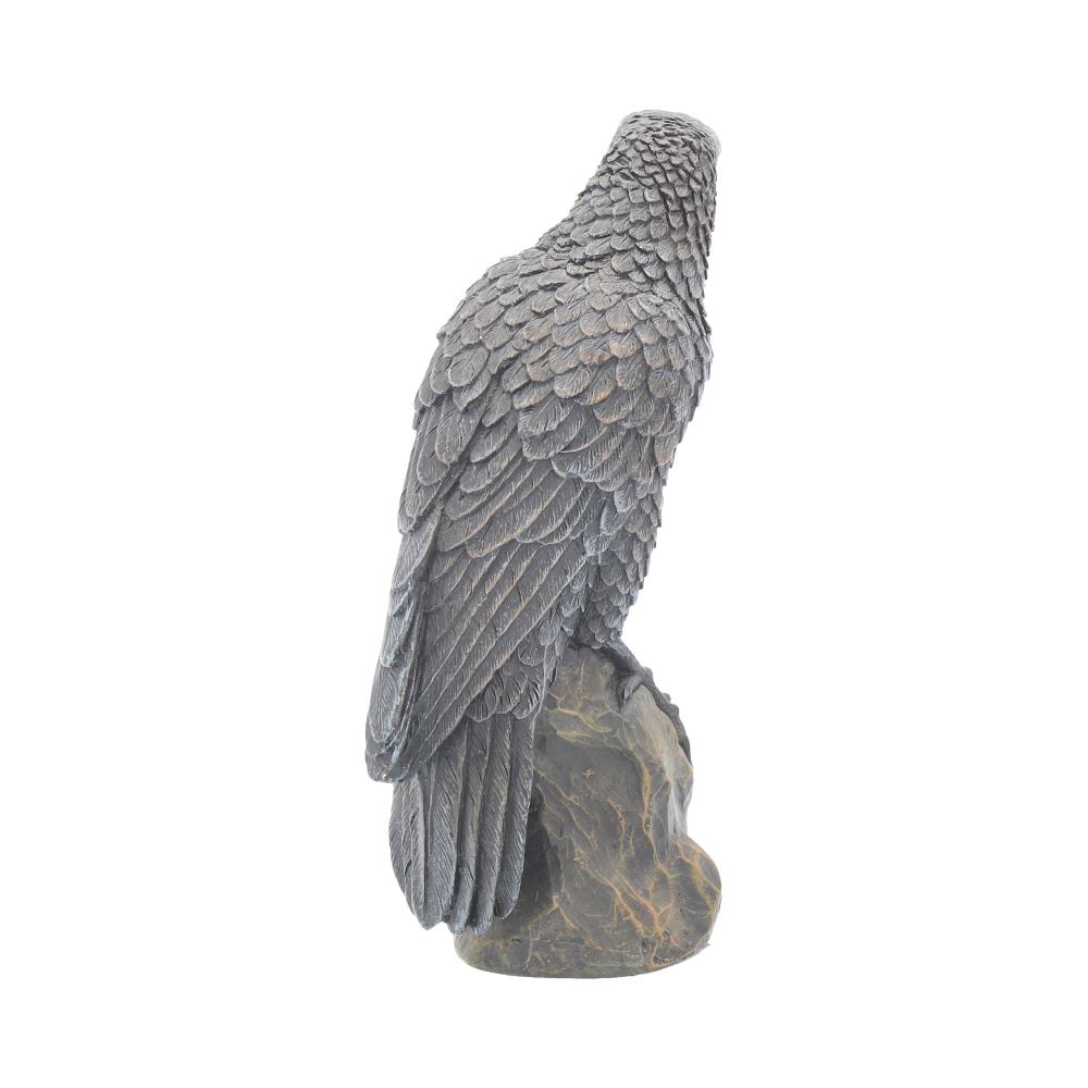 Ravens Rest Figurine Gothic Bird Ornament: 5 - Figures & Collectables By Gift Moments