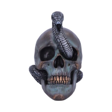 Serpentine Fate Gothic Snake Skull 19cm: 3 - Figures & Collectables By NN Designs