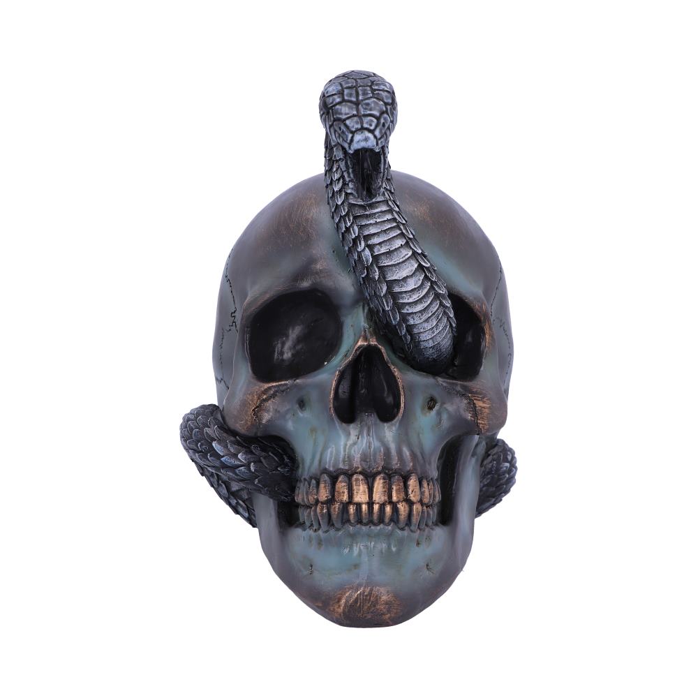 Serpentine Fate Gothic Snake Skull 19cm: 3 - Figures & Collectables By NN Designs