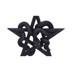 Serpent’s Worship Snake Wall Plaque 24cm: 5 - Wall Hanging Sculptures By Gift Moments