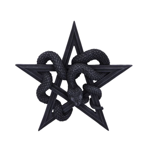 Serpent’s Worship Snake Wall Plaque 24cm: 2 - Wall Hanging Sculptures By Gift Moments