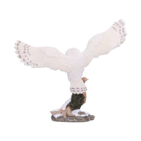Snowfall majestic owl winter scene