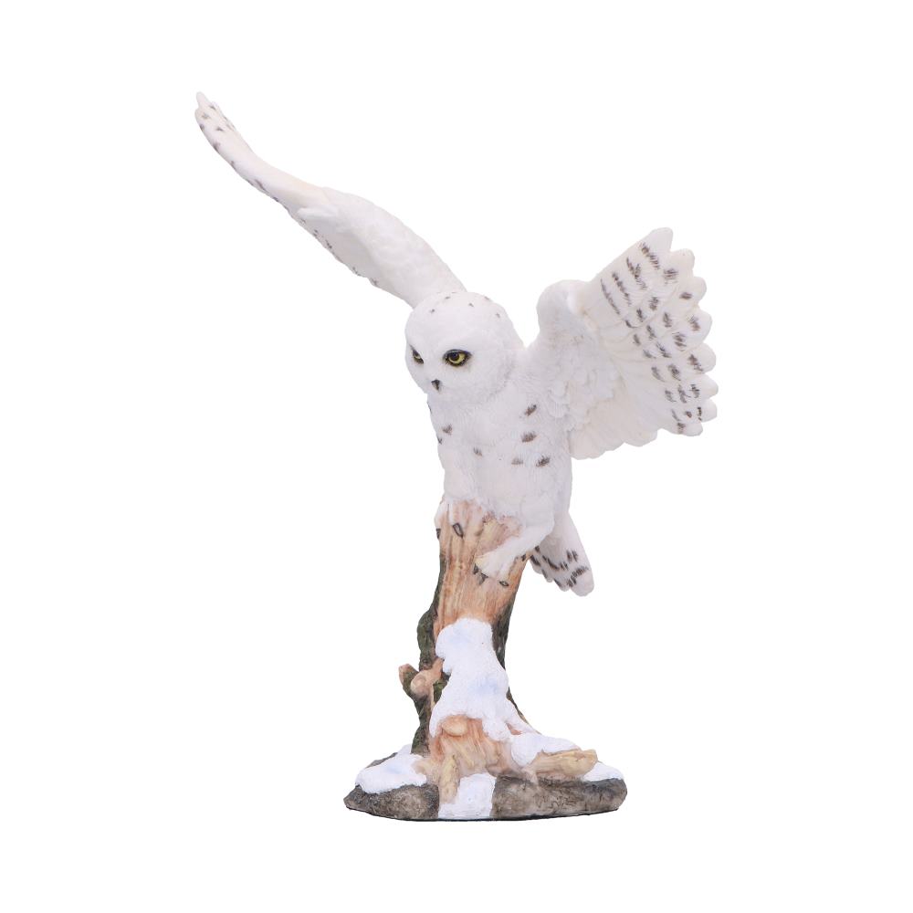 Snowfall majestic owl winter scene