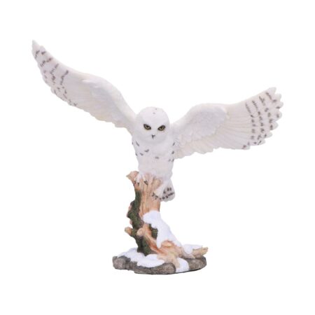 Snowfall majestic owl winter scene