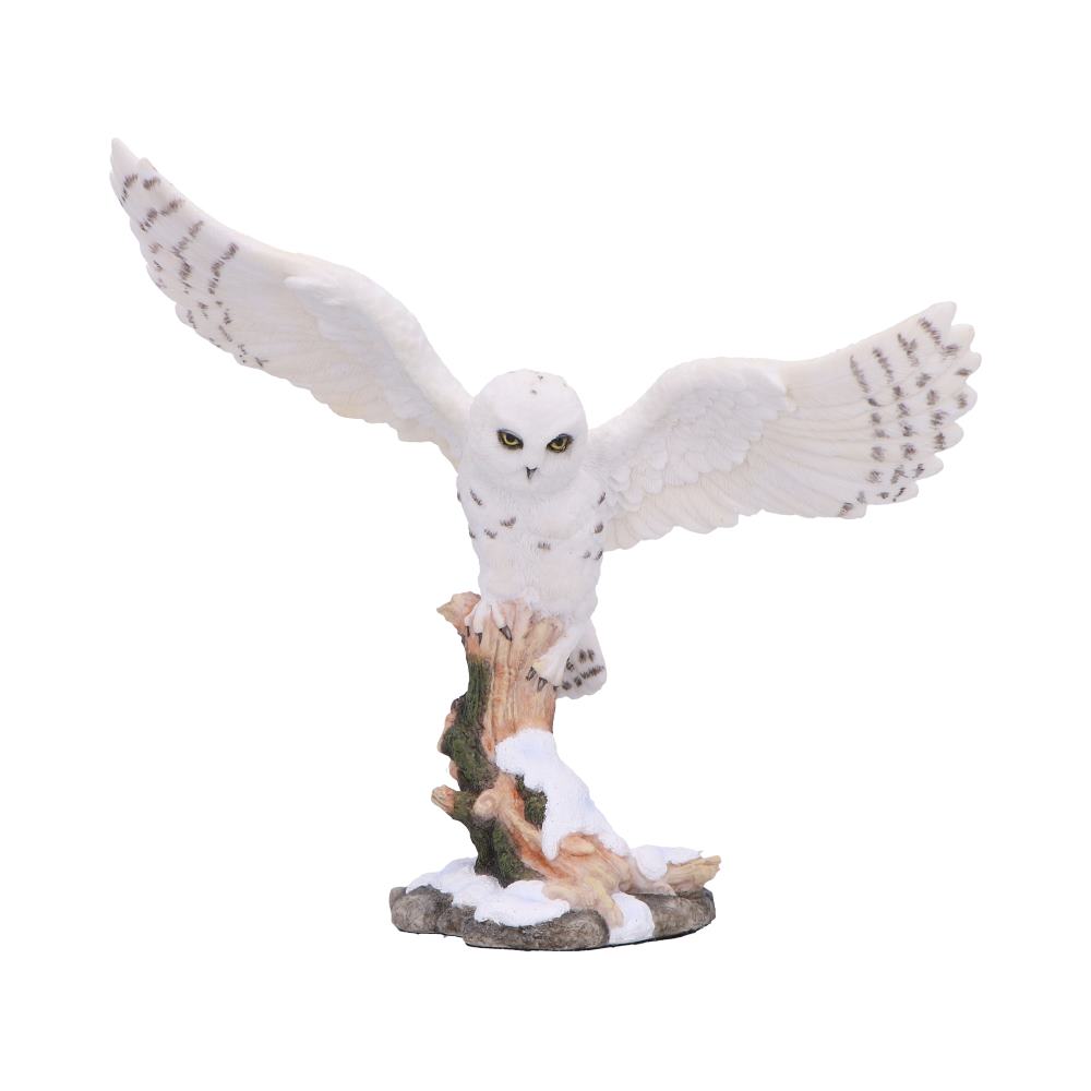 Snowfall majestic owl winter scene
