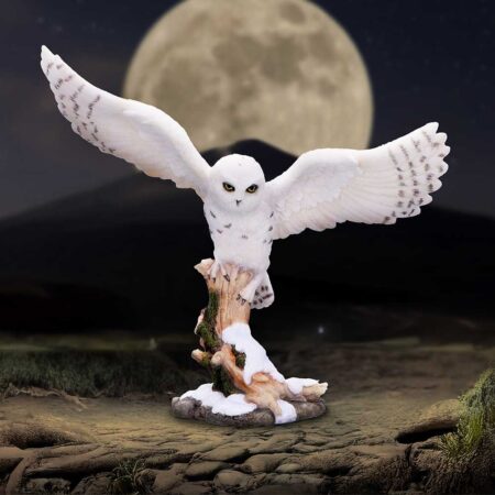 Snowfall majestic owl winter scene