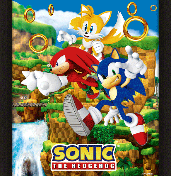Sonic The Hedgehog 3D Framed Picture: 1 - Wall Art By Sonic The Hedgehog