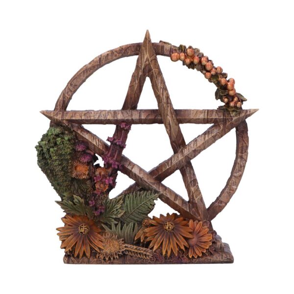 Summer Floral Decorative Pentagram Ornament: 2 - Figures & Collectables By NN Designs