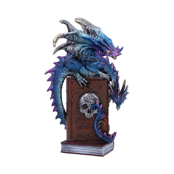 A Tale of Dragons Skull Book Figurine 22cm: 2 - Figures & Collectables By NN Designs