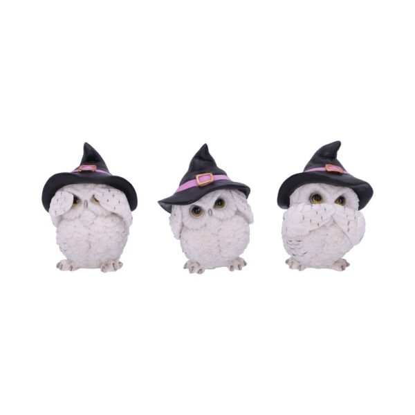 Three Wise Feathered Familiars 9cm: 2 - Figures & Collectables By Gift Moments