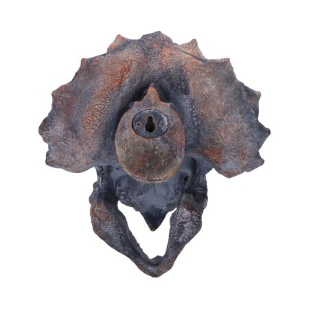 Triceratops dinosaur skull 23cm