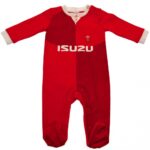 Wales RU Sleepsuit 9/12 mths QT: 1 - Baby Clothing By Gift Moments