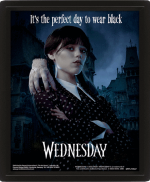 Wednesday 3D Lenticular Framed Picture: 1 - Wall Art By Wednesday