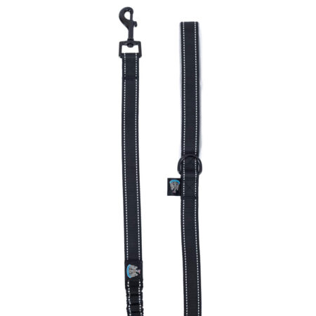 Newcastle United FC Reflective Dog Lead