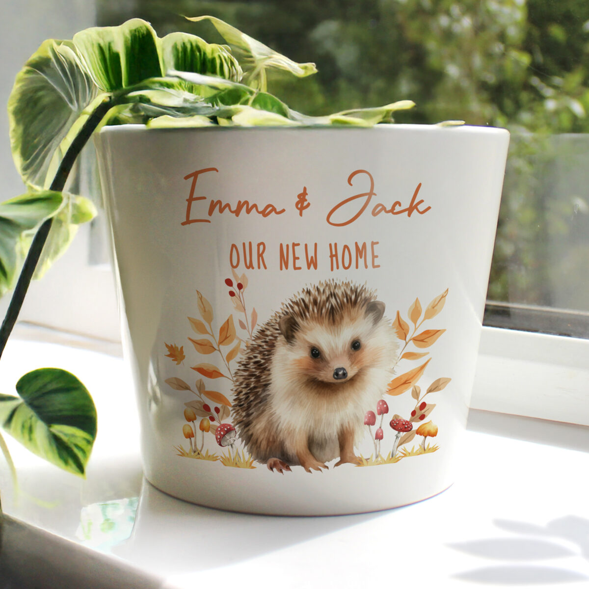 Personalised Hedgehog Large Plant Pot
