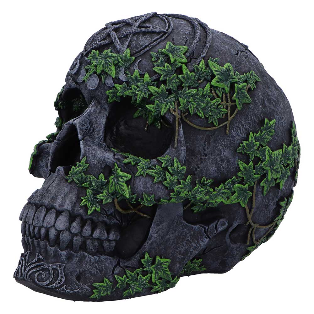 Aged Pentagram Skull Figurine