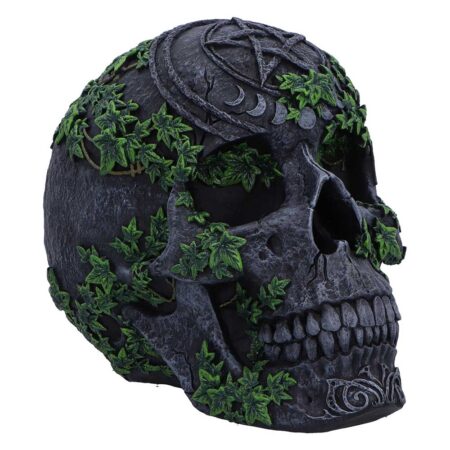 Aged Pentagram Skull Figurine