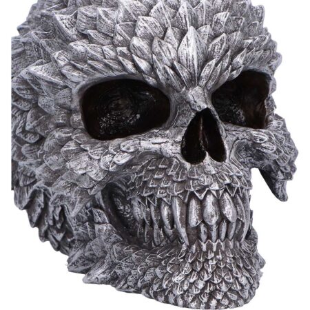 Scaled Remains Skull Figurine 15.4cm