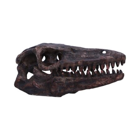 Archaeopteryx Skull Decorative Resin Replica